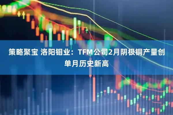 策略聚宝 洛阳钼业：TFM公司2月阴极铜产量创单月历史新高