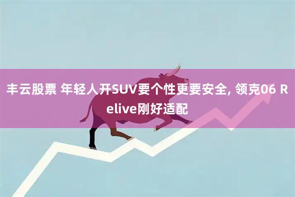 丰云股票 年轻人开SUV要个性更要安全, 领克06 Relive刚好适配