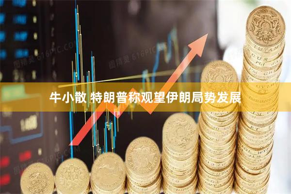 牛小散 特朗普称观望伊朗局势发展