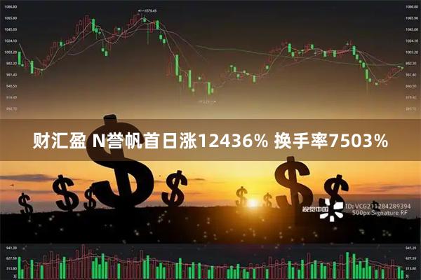 财汇盈 N誉帆首日涨12436% 换手率7503%