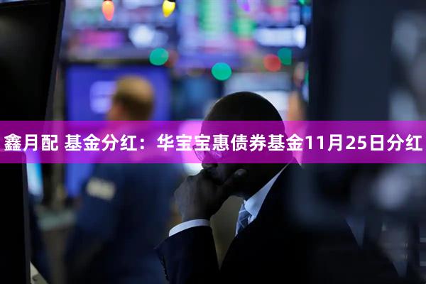 鑫月配 基金分红：华宝宝惠债券基金11月25日分红