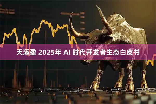 天添盈 2025年 AI 时代开发者生态白皮书