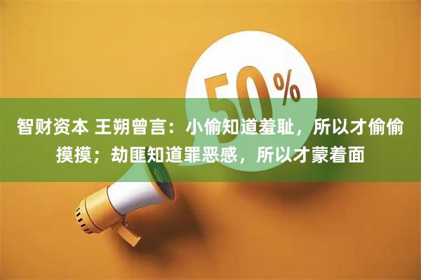 智财资本 王朔曾言：小偷知道羞耻，所以才偷偷摸摸；劫匪知道罪恶感，所以才蒙着面